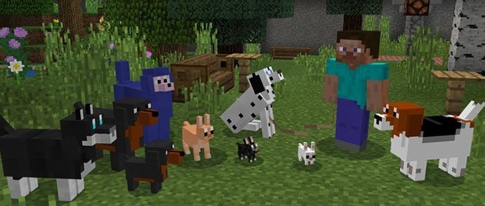Download mod More Dogs for Minecraft Bedrock Edition 1.5.3 for Android