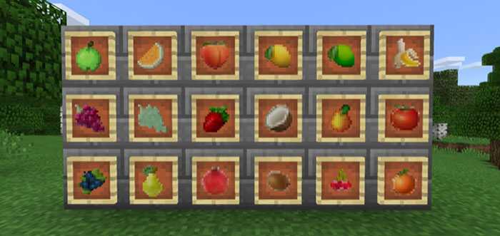 Download addon More Fruits for Minecraft Bedrock Edition 1.6.0 for Android.