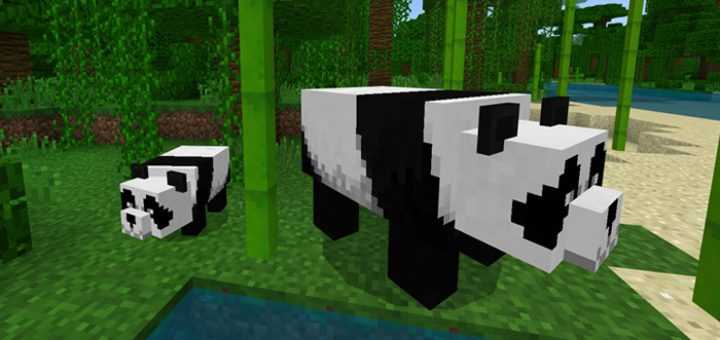 Download addon Panda Minecon for Minecraft Bedrock Edition 1.6.1 for Android