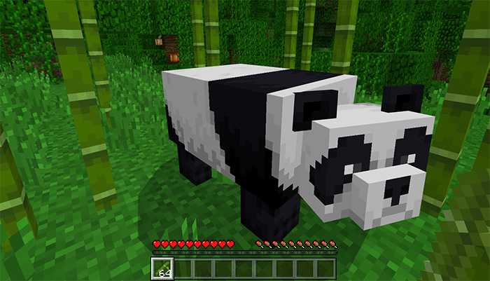 Download addon Tameable Pandas for Minecraft Bedrock Edition 1.8 for Android