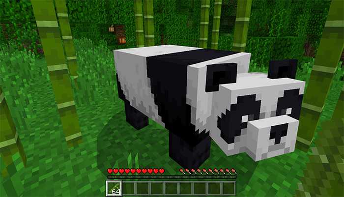 Download addon Tameable Pandas for Minecraft Bedrock 