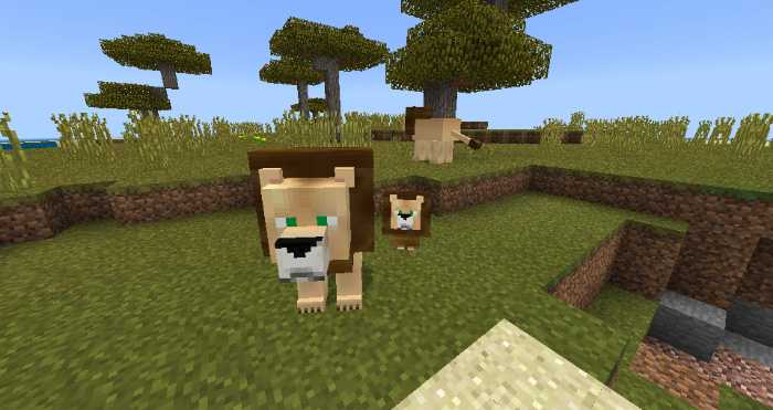 Download addon Lions for Minecraft Bedrock Edition 1.8 for Android