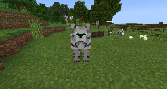 Download addon Tigers for Minecraft Bedrock Edition 1.8 for Android