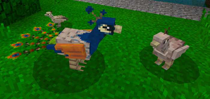 Download addon Peafowl for Minecraft Bedrock Edition 1.8 for Android
