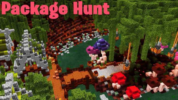 Map SkyGames Package Hunt: Part 1 (Puzzle) 1.7