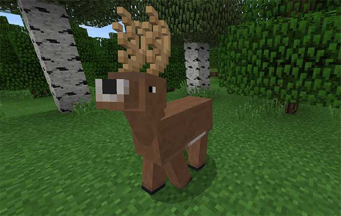 Download addon AnimaCraft for Minecraft Bedrock Edition 1.9 for Android