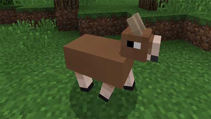 Download addon AnimaCraft for Minecraft Bedrock Edition 1.9 for Android