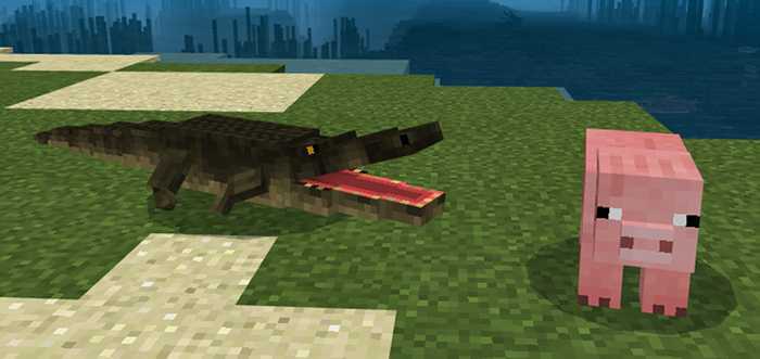 Download addon Alligator for Minecraft Bedrock Edition 1.9 for Android