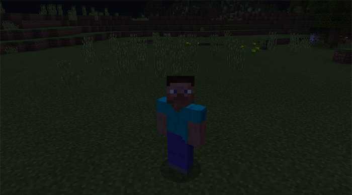 Download addon Sea Lantern Follower for Minecraft Bedrock Edition 1.9 for Android