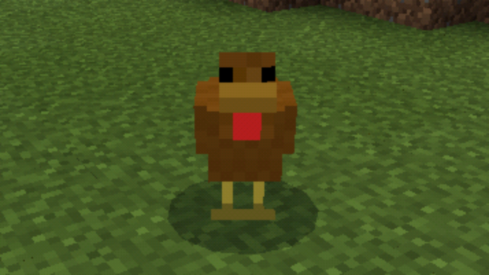 Download addon Painted Chickens for Minecraft Bedrock Edition 1.10 for Android