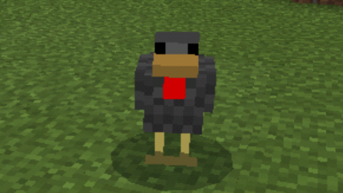 Download addon Painted Chickens for Minecraft Bedrock Edition 1.10 for Android