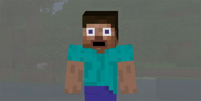 Download skin Pack Steve Faces for Minecraft Bedrock Edition 1.10 for Android