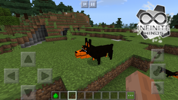 Download addon Doberman for Minecraft Bedrock Edition 1.10 for Android