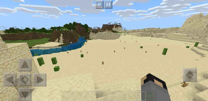 Seed Desert Temple & Village Right Near Spawn! for Minecraft Bedrock Edition 1.11 for Android