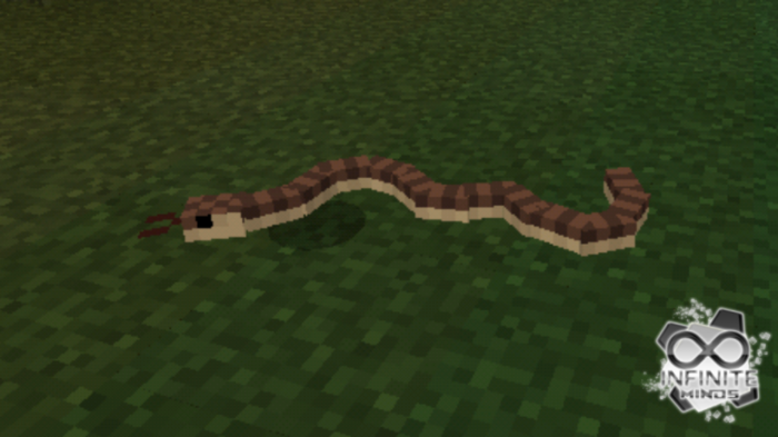 Download addon Snakes for Minecraft Bedrock Edition 1.11 for Android