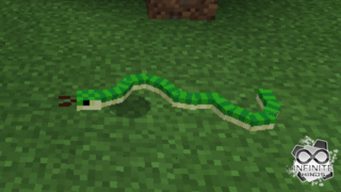 Download addon Snakes for Minecraft Bedrock Edition 1.11 for Android