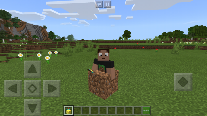 Download addon Minecraft Block Morphs for Minecraft Bedrock Edition 1.11 for Android