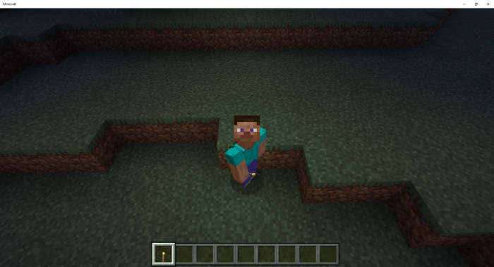 Addon Hand Held Torches 1.12
