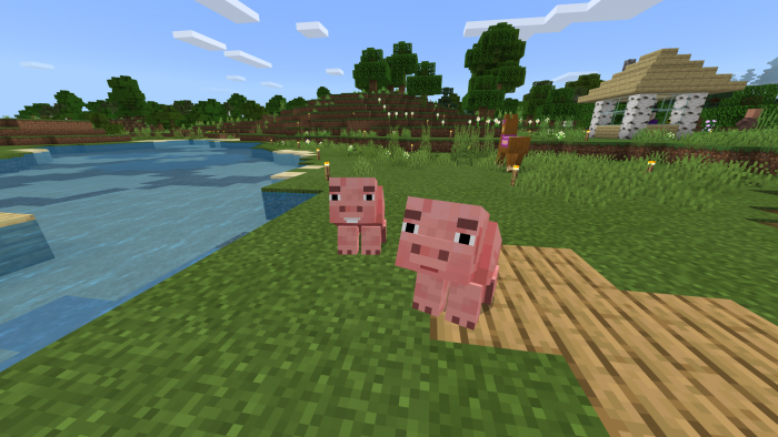Download addon Pet Pigs! for Minecraft Bedrock Edition 1.12 for Android