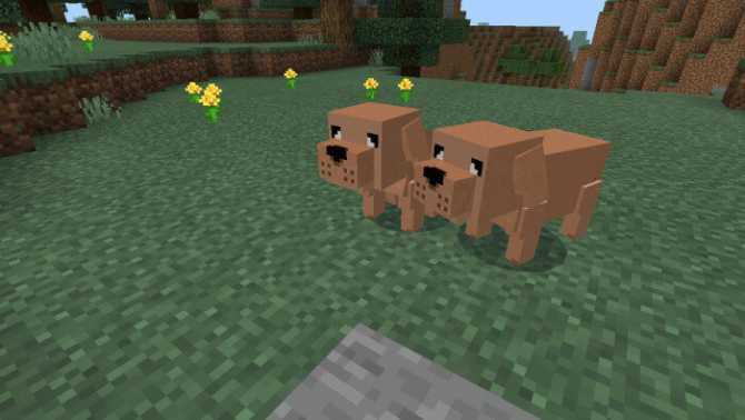 Download addon Dogs for Minecraft Bedrock Edition 1.14 for Android
