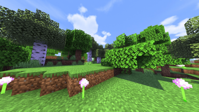 minecraft realistic shader texture pack