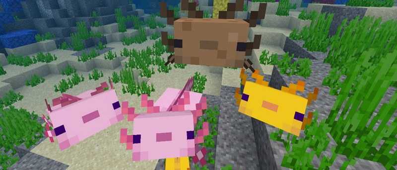 Minecraft PE 1.16.230.52