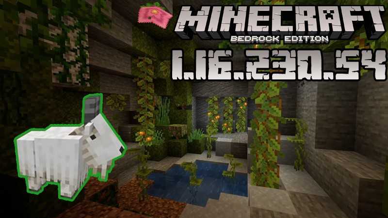 Minecraft PE 1.16.230.54