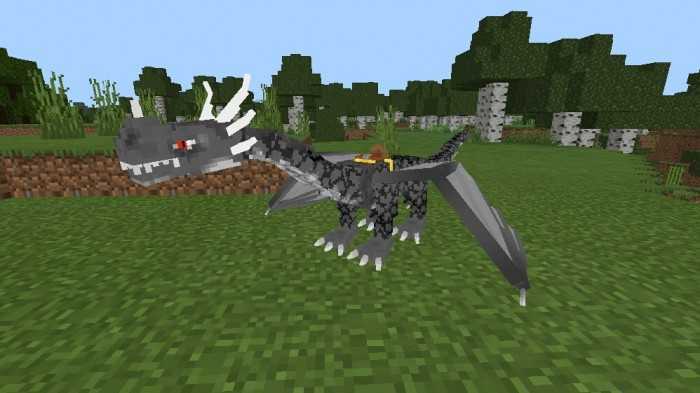 Addon Dark Dragon 1.16.101